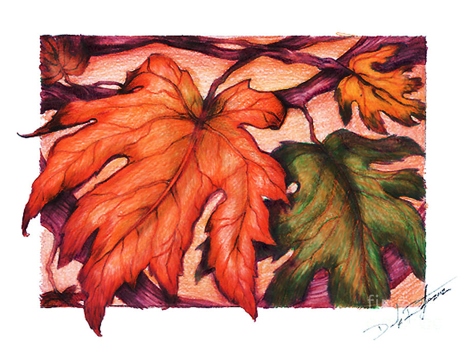 Nature Drawing - Autumn Leaves by Derrick Bruno
