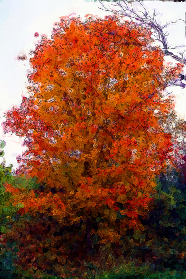 Fall Digital Art - Autumn leaves in orange by George Ferrell Fall Digital Art - Autumn leaves in orange by George Ferrell