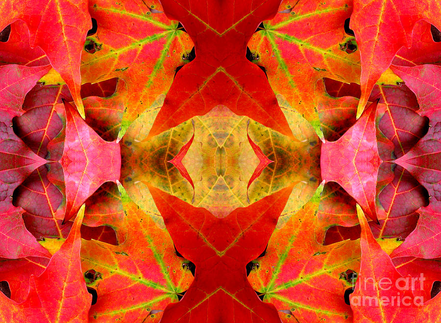 Autumn Leaves Mirrored Photograph by Rose Santuci-Sofranko