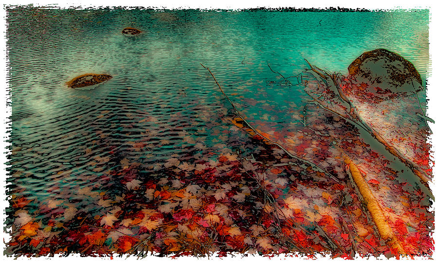 Autumn Leaves on Cary Lake - Abstract Photograph by David Patterson