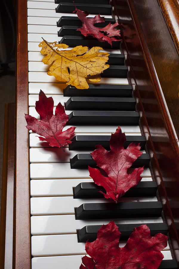 Still Life Photograph - Autumn leaves on piano by Garry Gay
