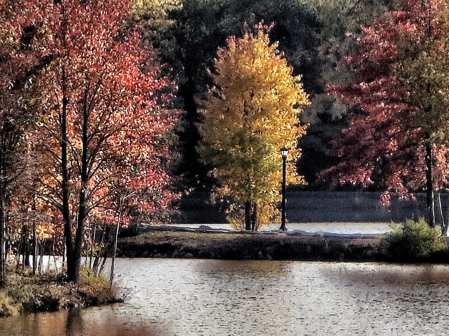 Autumn Leaves Photograph by Patricia Januszkiewicz