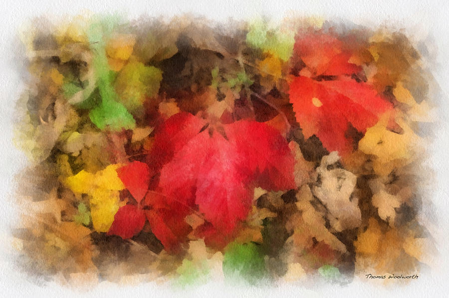 Autumn Leaves Photo Art 04 Photograph by Thomas Woolworth
