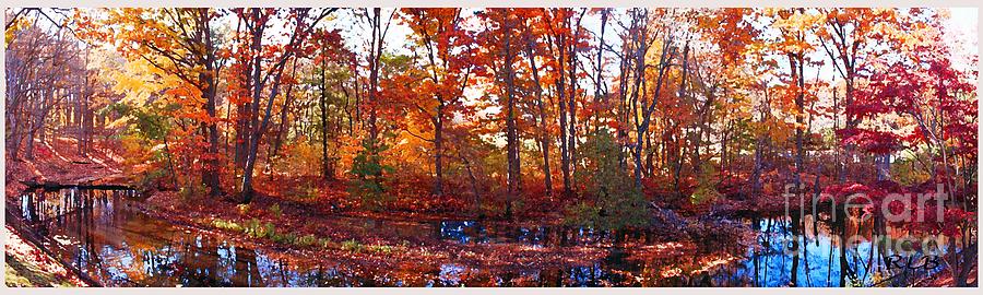 Autumn Leaves Photograph by Rita Brown