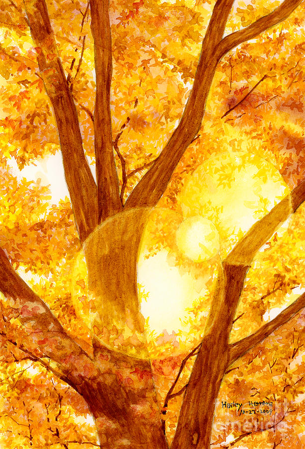 Tree Painting - Autumn Light by Hailey E Herrera