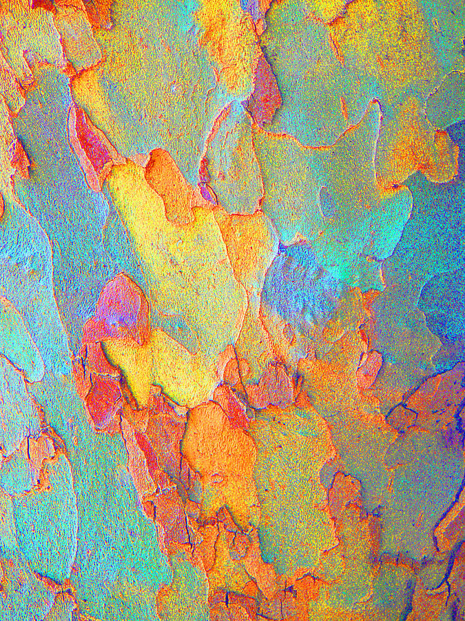 Autumn London Plane Tree Abstract 2 Photograph by Margaret Saheed