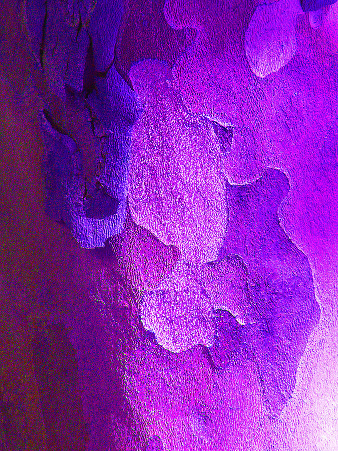 Autumn London Plane Tree Abstract 6 Photograph by Margaret Saheed