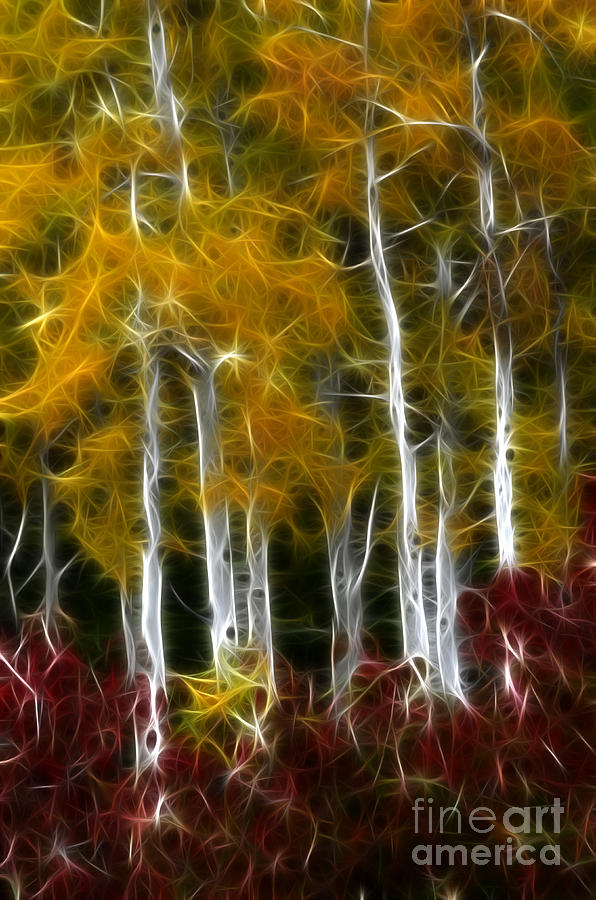 Autumn Magic 1 Photograph by Bob Christopher