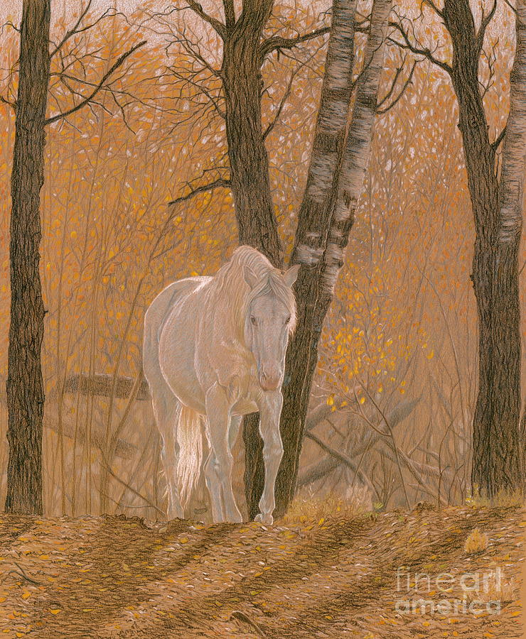 Horse Drawing - Autumn Magic by Laura Klassen