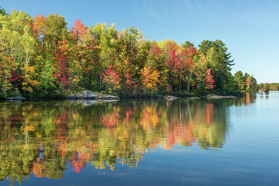 Autumn Maples & Birch Photograph by Terry A. Mcdonald - Luxborealis.com