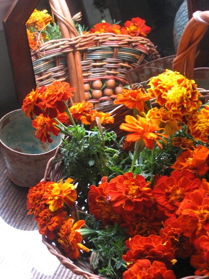 Autumn Marigolds by Deb Martin-Webster Autumn Marigolds by Deb Martin-Webster