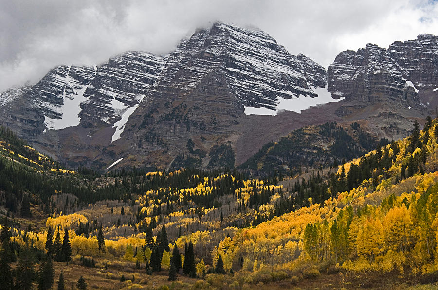 Mountain Photograph - Autumn Maroon Bells by Daniel Huerlimann