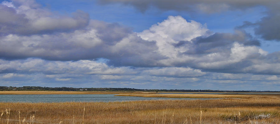 Autumn Marsh At Shell Island Photograph by Paulette B Wright