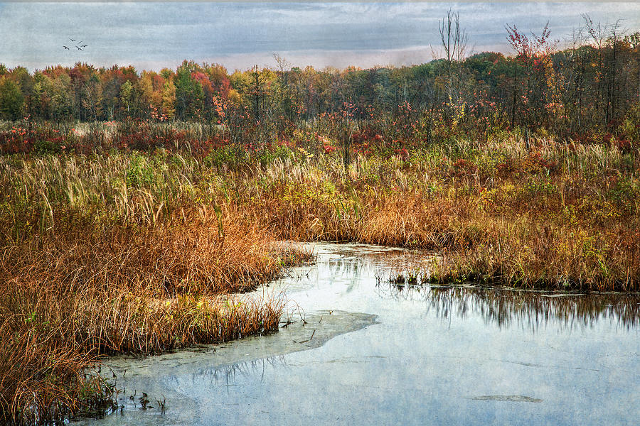 Autumn Marshland Photograph by Dale Kincaid