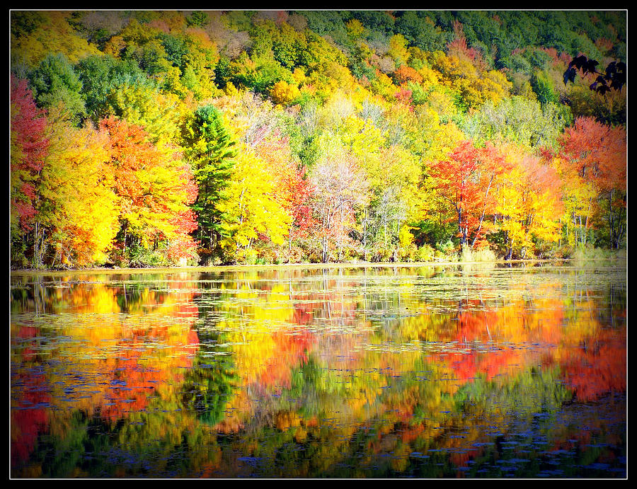 Autumn Massachusetts Photograph By Rebecca Malo - Fine Art America