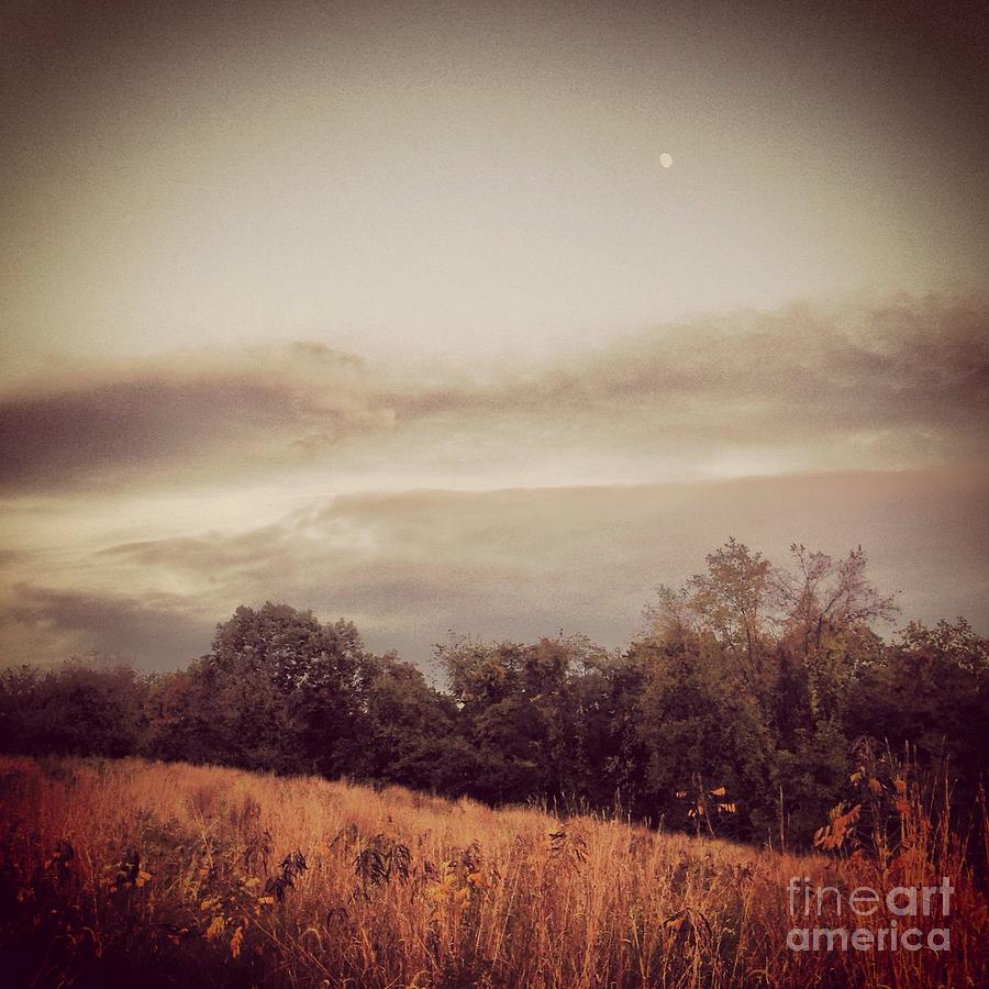 Autumn Meadow Photograph by Angela Rath