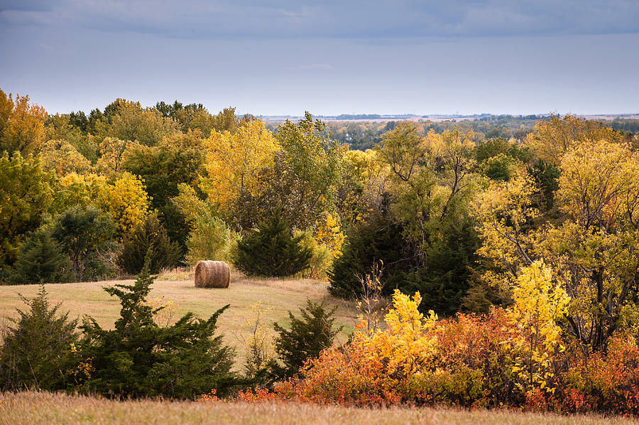 Autumn Meadow Photograph by Kerri Garrison - Fine Art America