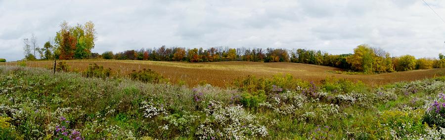 Autumn Meadow Photograph by Peggy King