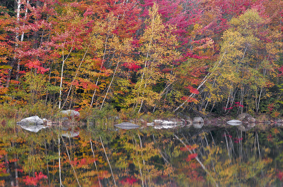 Autumn Miror Photograph by Joseph Rossbach