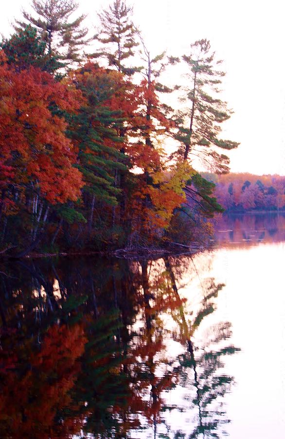 Autumn Mirror Reflections Photograph by Liz Evensen