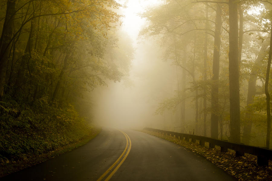 Autumn Mist Blue Ridge Parkway Photograph