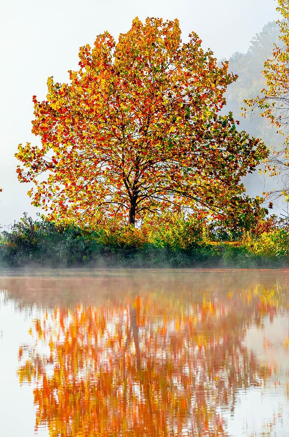 Autumn Mist Photograph by Brian Stevens