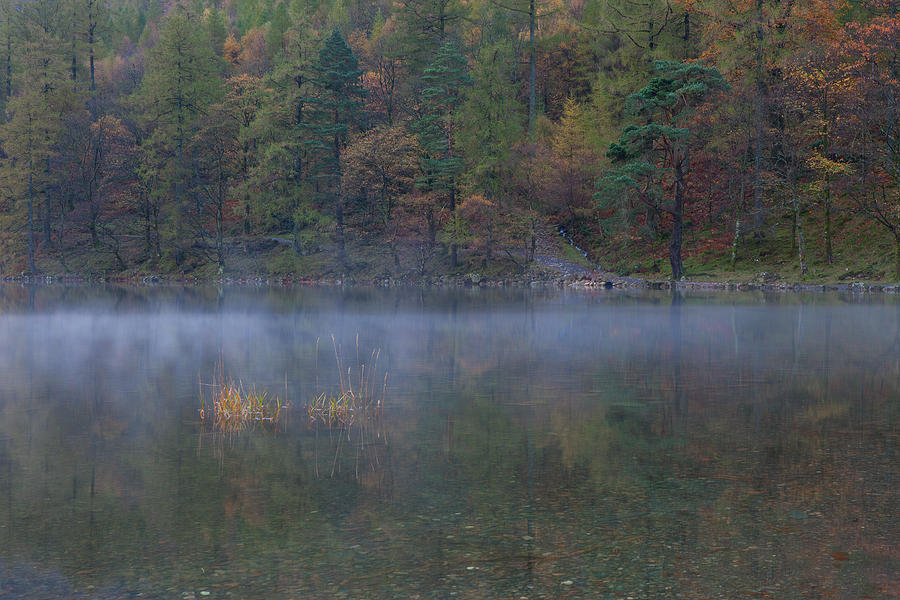Autumn Mist Buttermere Photograph by Nick Atkin