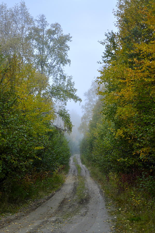 Autumn Mist Photograph by Cathy Mahnke