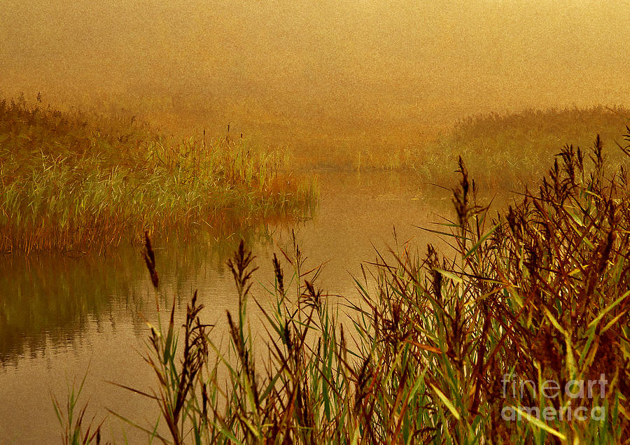 Autumn Mist Photograph by Martyn Arnold