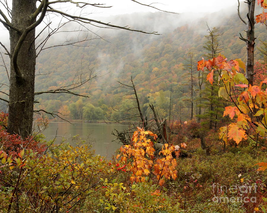 Autumn Mist Photograph by Rod Best