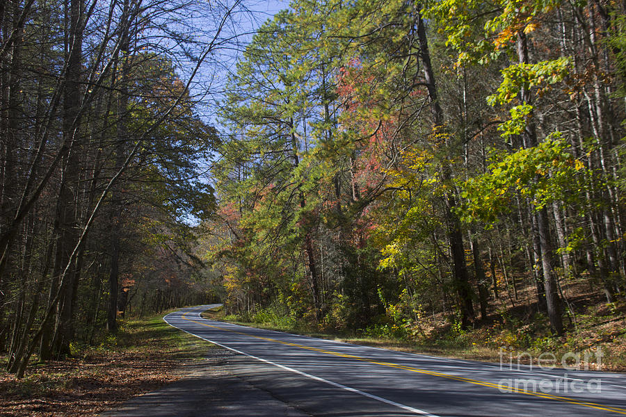 Autumn Mixed Hardwood Road Photograph by Ules Barnwell