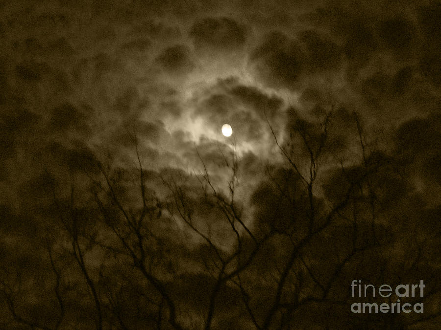 Autumn Moon 1 Photograph by Christine Perry