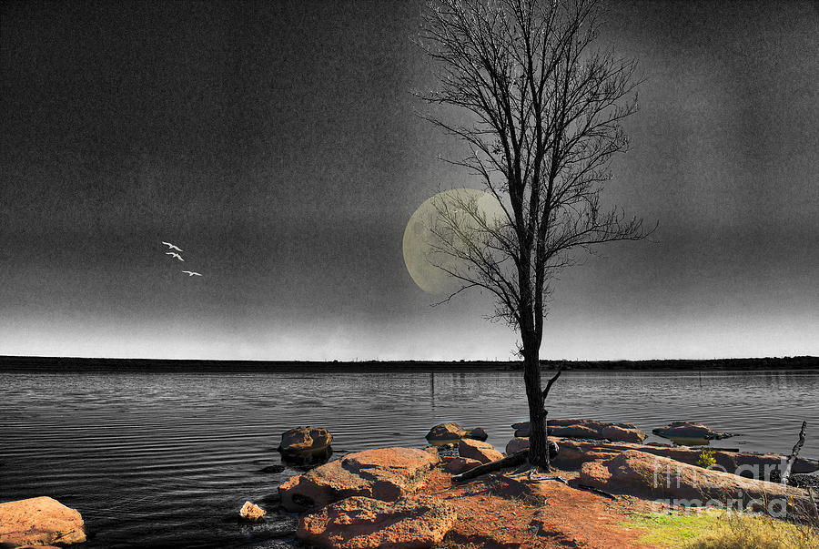 Nature Photograph - Autumn Moon by Betty LaRue