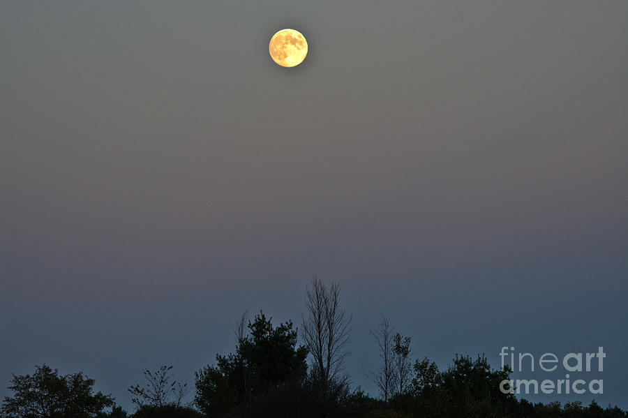 Autumn Moon Photograph by Cheryl Baxter