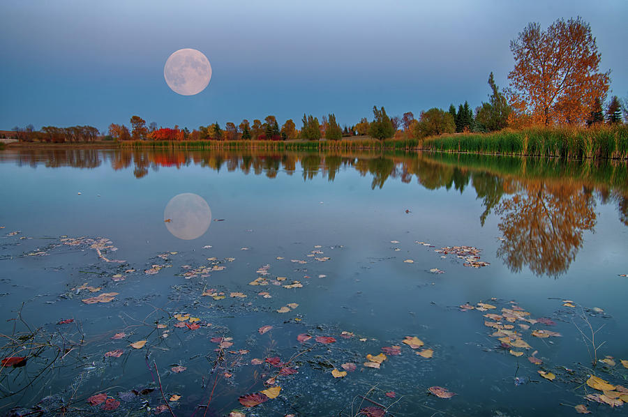 Autumn Moonlight Photograph by Nebojsa Novakovic