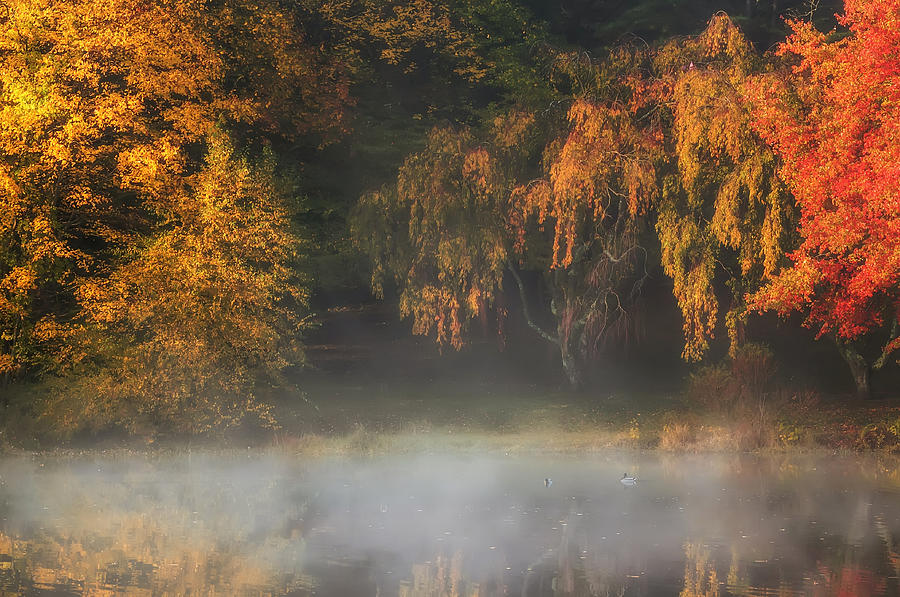 Autumn Morning At The Lake Photograph by Gary Slawsky