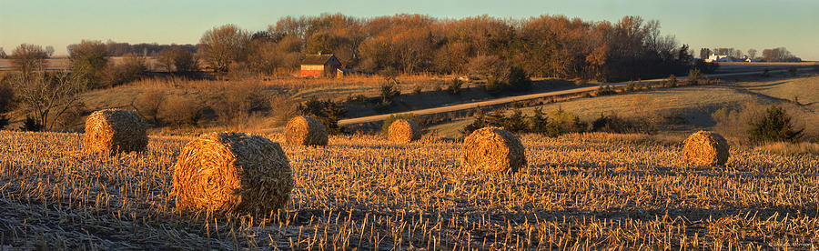 Autumn Morning Bales Photograph by Bruce Morrison
