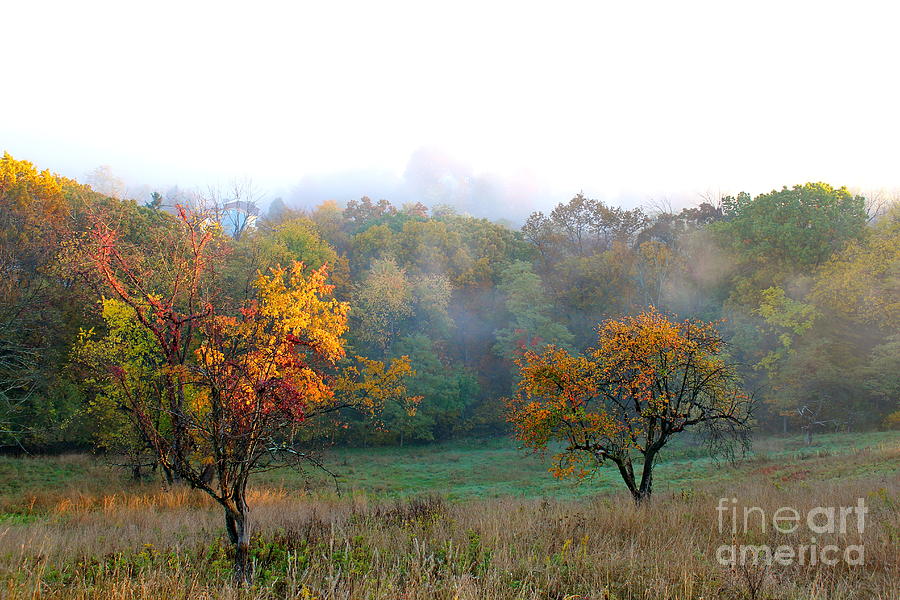 Fall Photograph - Autumn Morning Fog by Jay Nodianos
