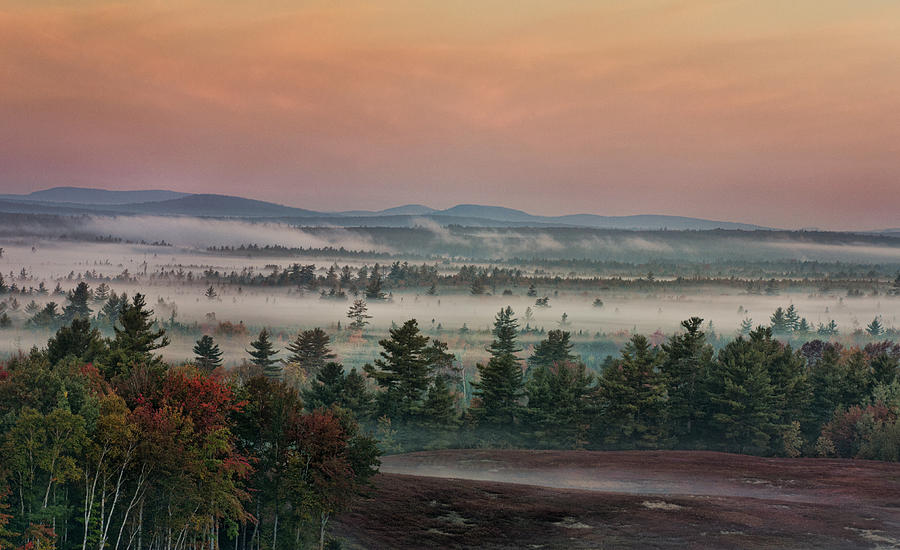 Autumn Morning Fog Photograph by Sue Capuano