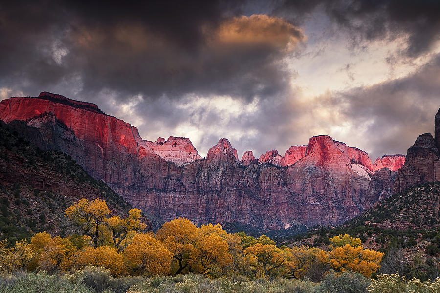 Autumn Morning in Zion Photograph by Andrew Soundarajan