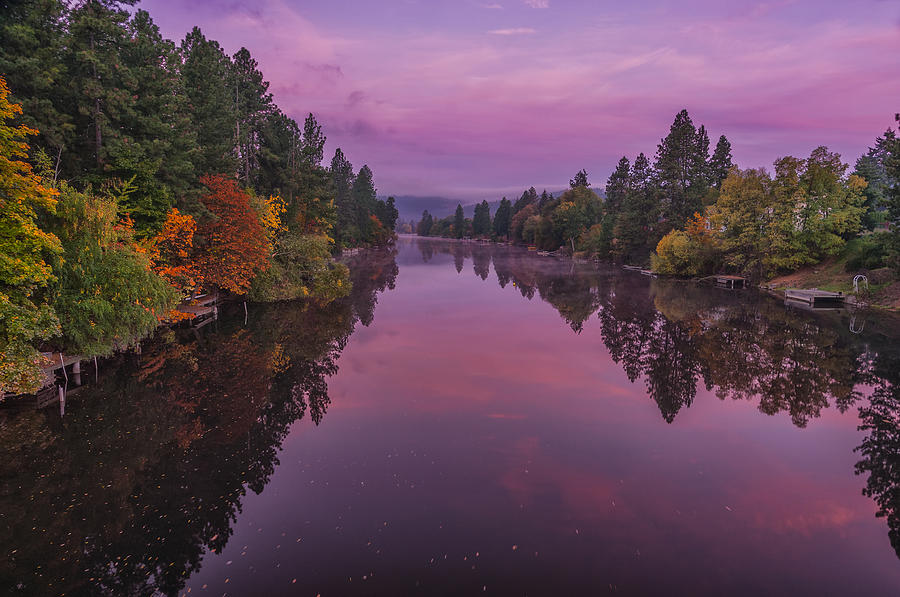 Tree Photograph - Autumn Morning on Spokane River by Michael Gass