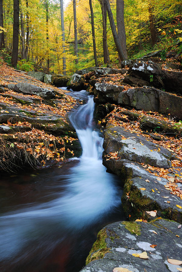 Autumn mountain creek on rocks Photograph by Songquan Deng