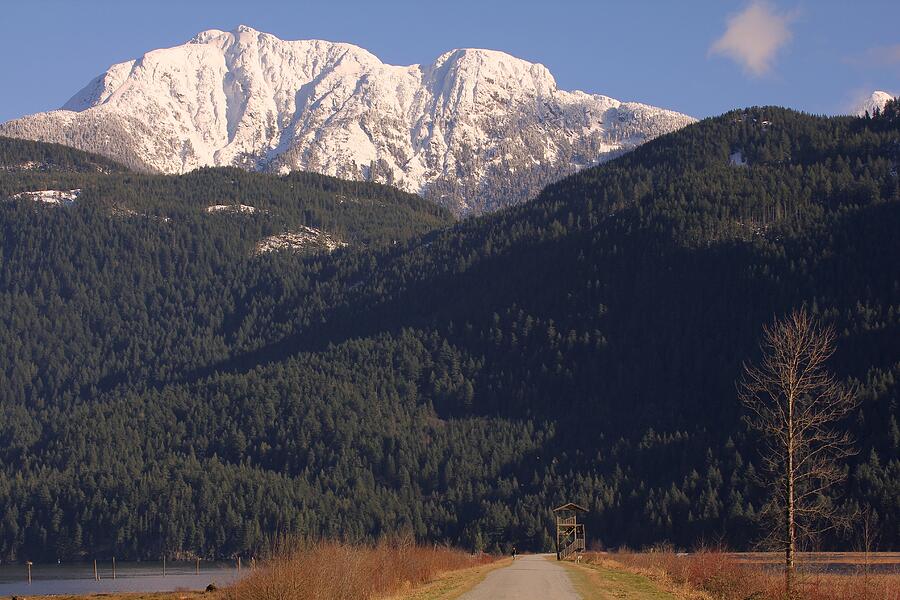 Snowcapped Mountains - Golden Ears Provincial Park, Bc Photograph
