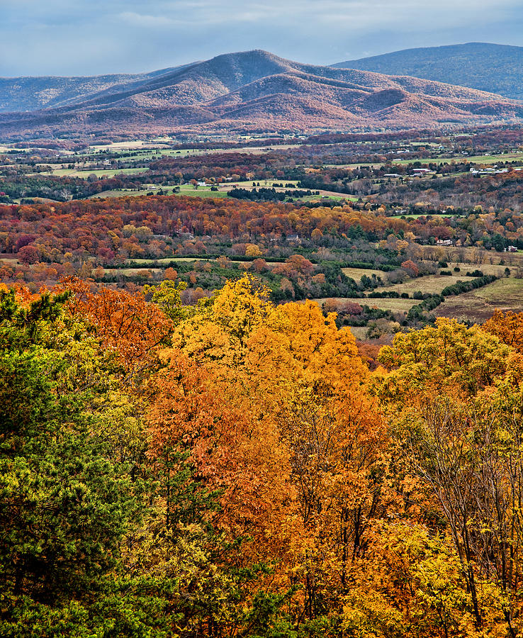Autumn Mountain Photograph by Lara Ellis