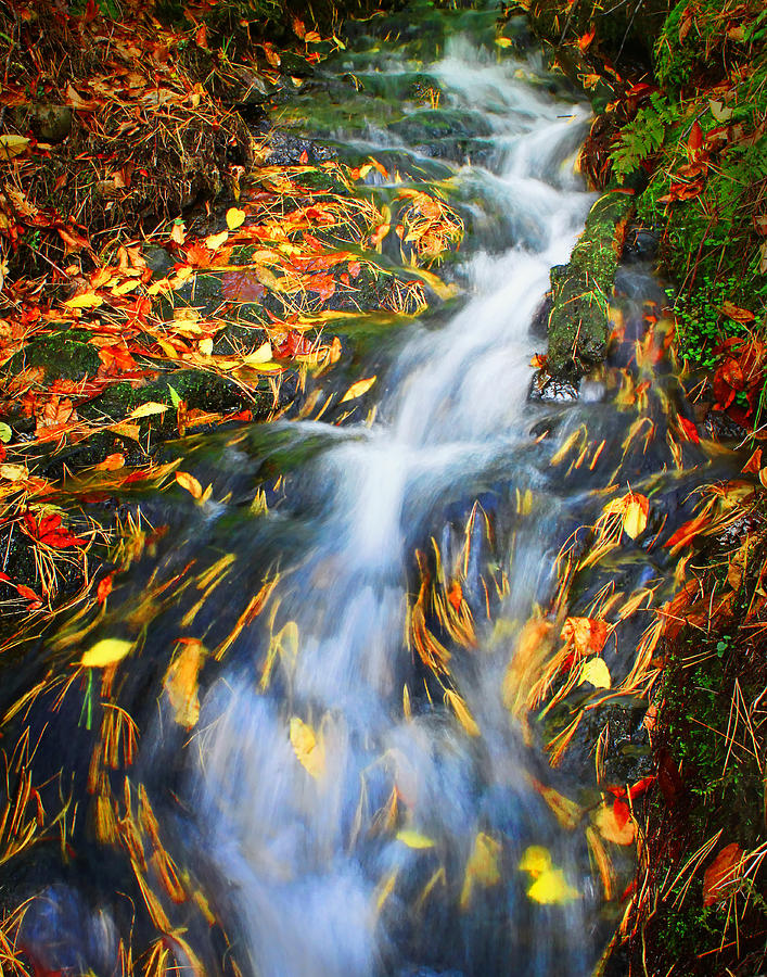 Autumn mountain stream Photograph by Carolyn Derstine