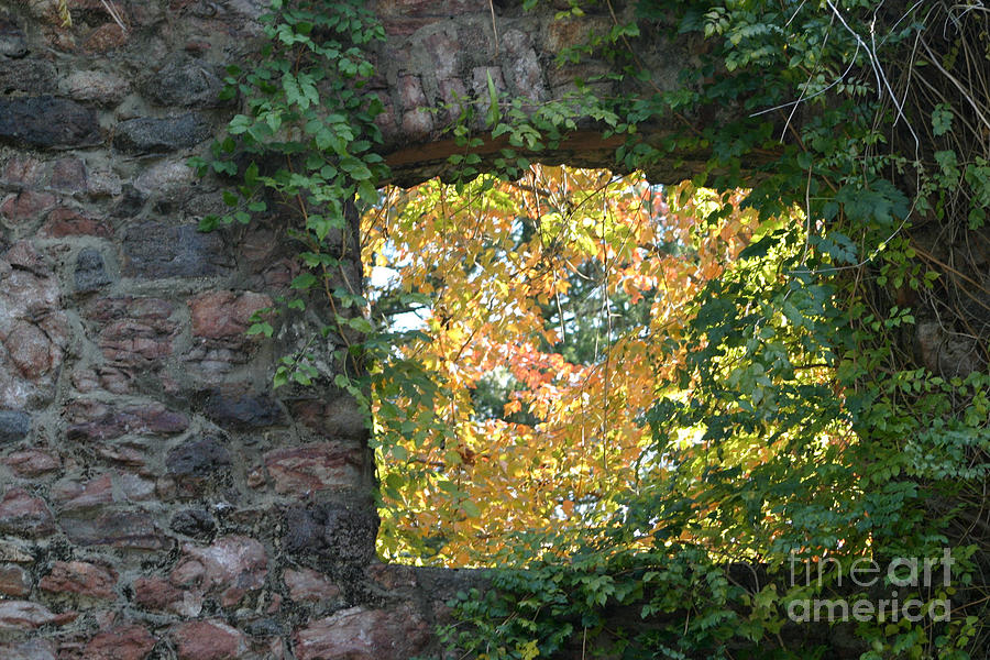Autumn Naturally Framed Photograph by Living Color Photography Lorraine Lynch