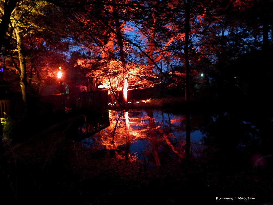 Autumn Night Photograph by Kimmary MacLean