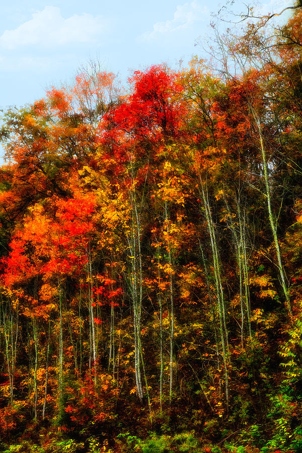 Autumn on a Hill I - Blue Ridge Mountains Photograph by Dan Carmichael