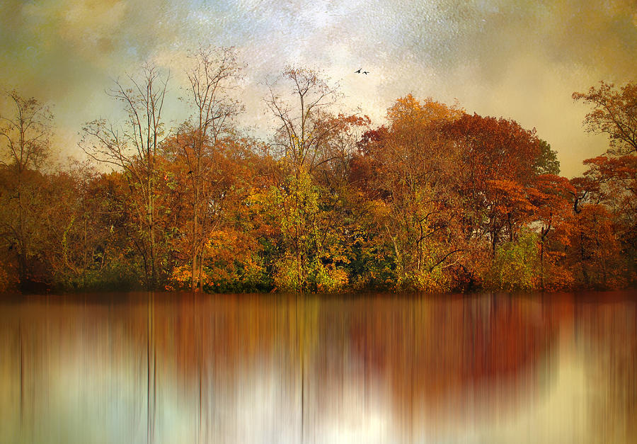 Autumn on a Pond Photograph by Jessica Jenney