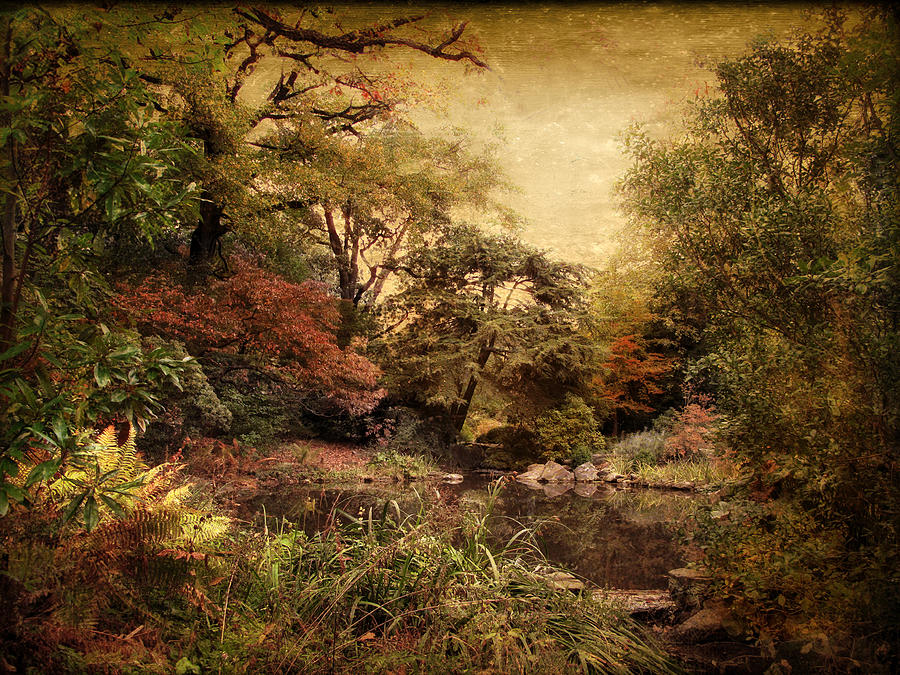 Autumn on Canvas Photograph by Jessica Jenney